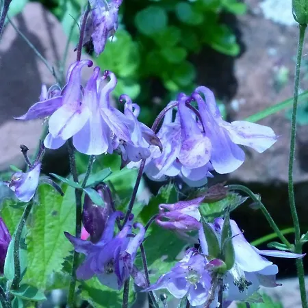 Mit Ausblick - Woerth *