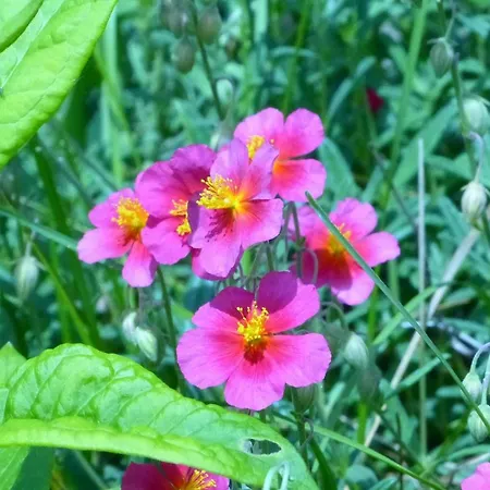 Apartment Mit Ausblick - Woerth