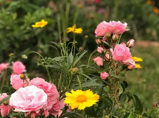 דירה Mit Ausblick - Woerth