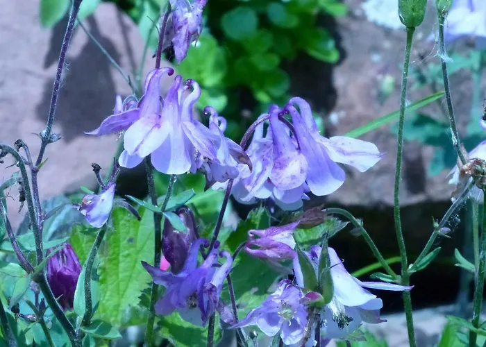 Mit Ausblick - Woerth *