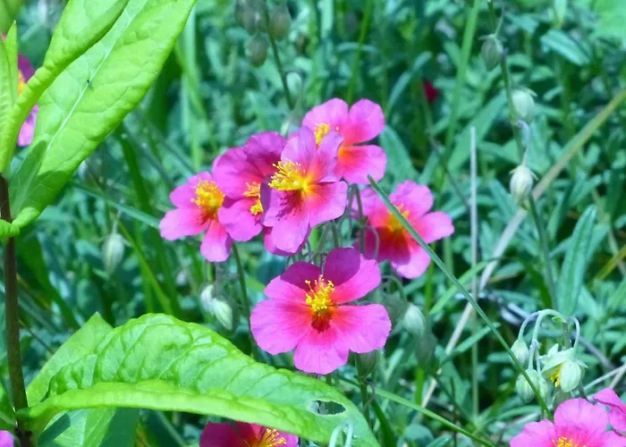 דירה Mit Ausblick - Woerth